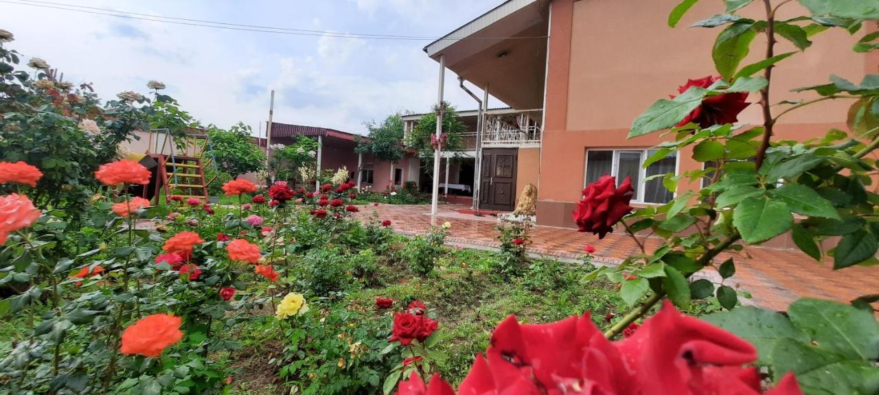 Vip Hostel Turkistan Kültér fotó